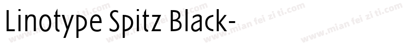 Linotype Spitz Black字体转换